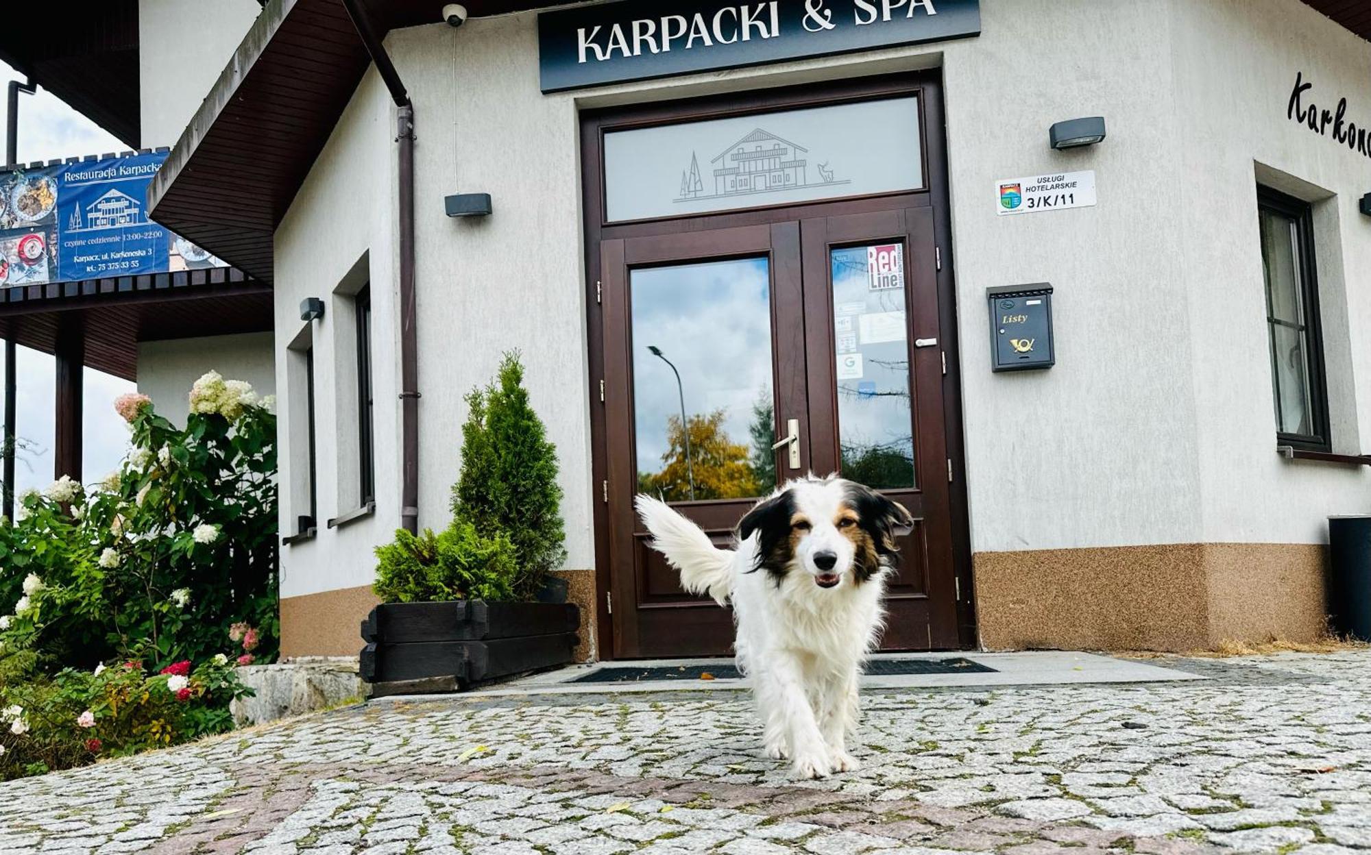 Karpacki & Spa - Blisko Wyciagu, Restauracja, Sala Zabaw, Bar 24H (Adults Only) 卡尔帕奇 外观 照片